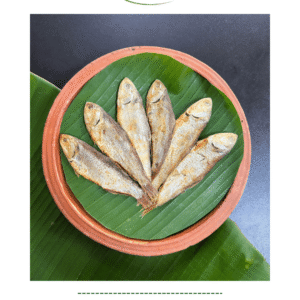 Faissha Shutki - ফাইস্যা